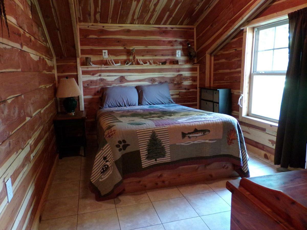 Campsite Cedar Located On A Buffalo Farm *